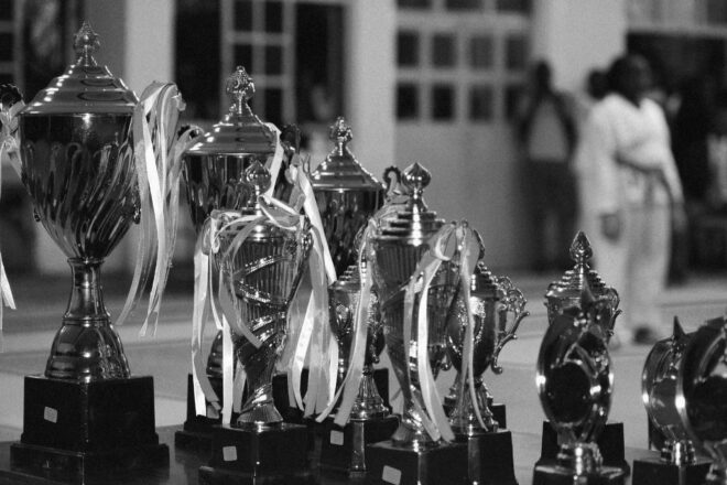 Trophies, award winning consultancy