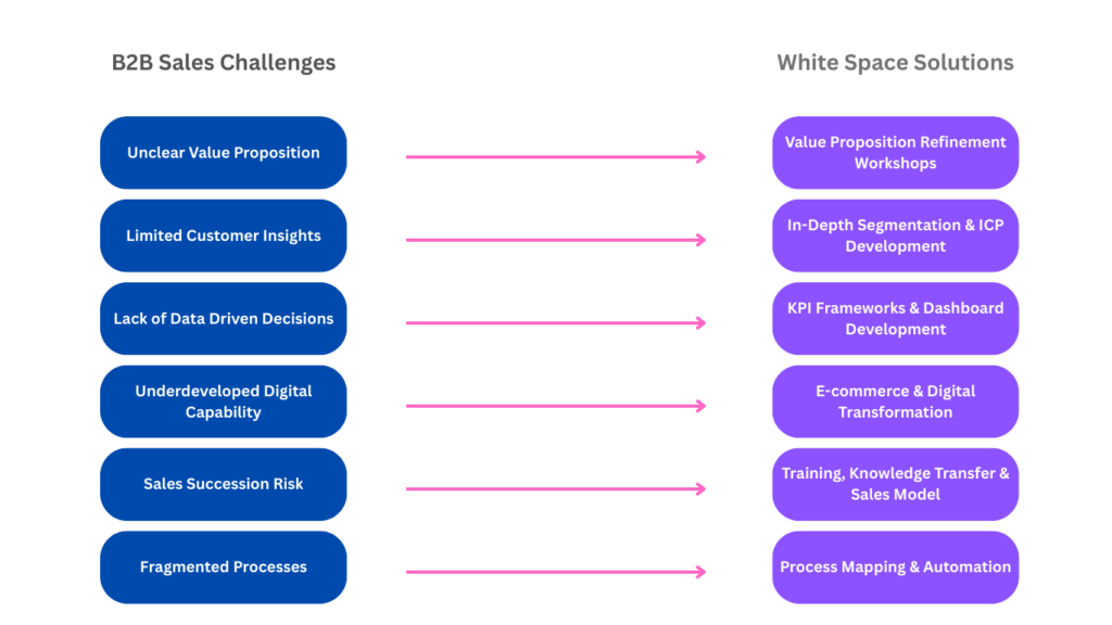 go-to-market-strategy, B2B Sales Enablement: Overcoming Key Challenges with a Modular Approach, White Space Strategy